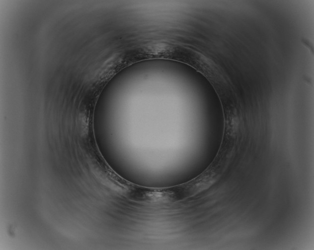 X0000102020558200807181329