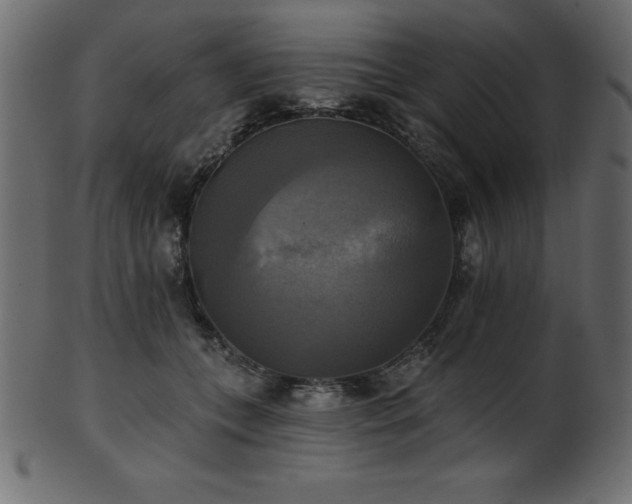 X0000102020559200807181329