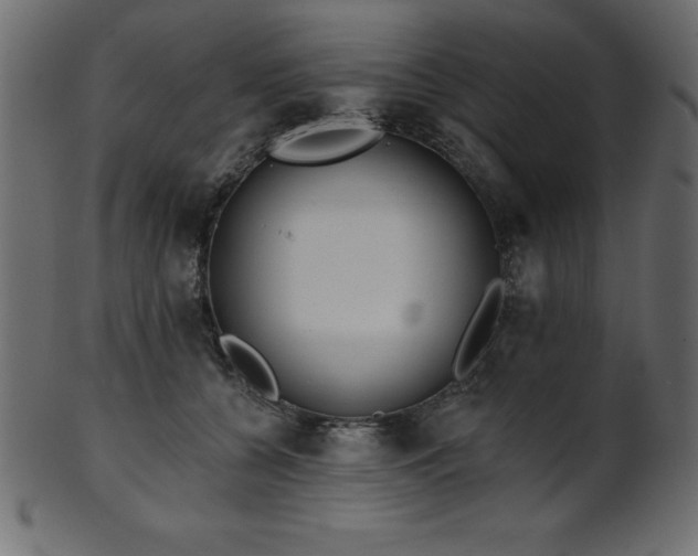 X0000102020560200807181329