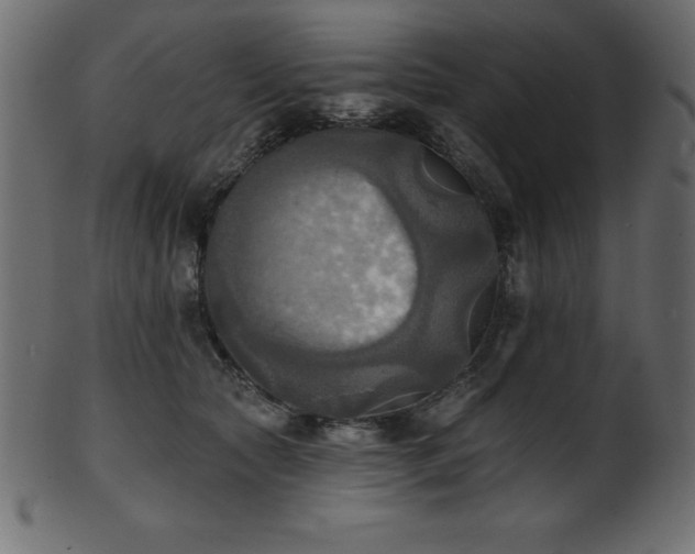 X0000102020561200807181329