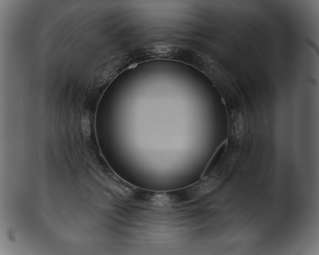 X0000102020562200807181329