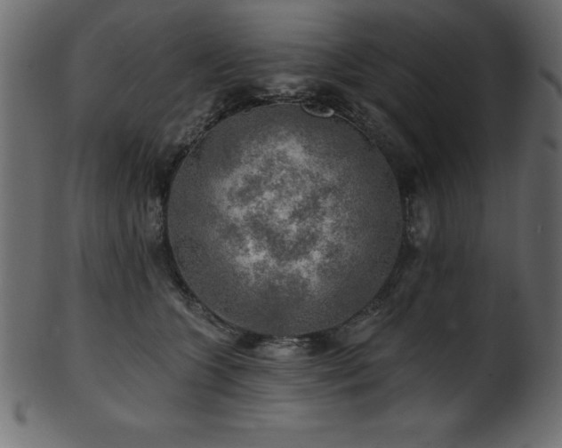 X0000102020563200807181329