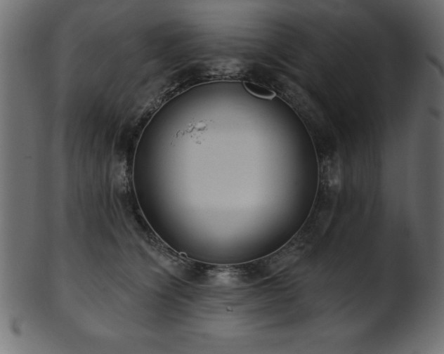 X0000102020564200807181329