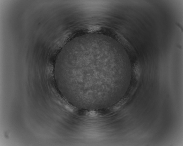 X0000102020565200807181329