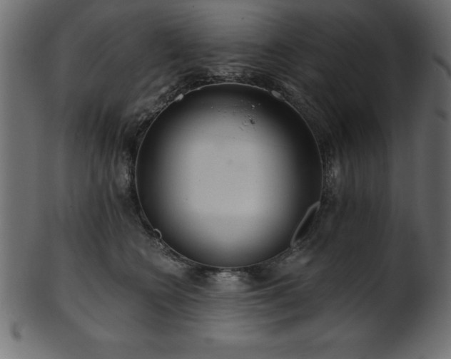 X0000102020566200807181329