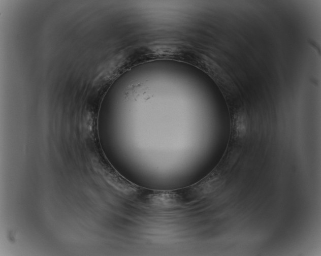 X0000102020567200807181329