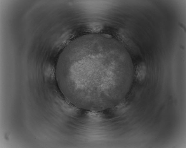 X0000102020568200807181329