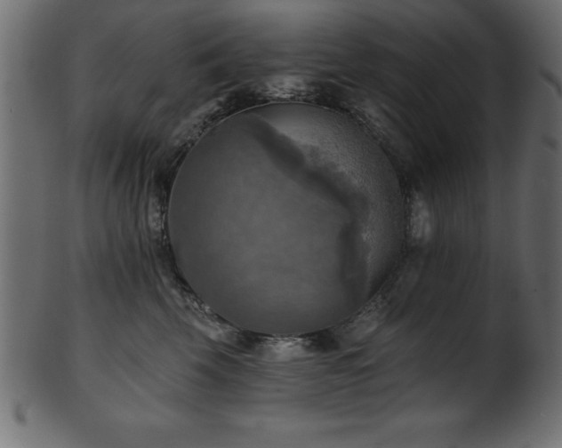 X0000102020569200807181329