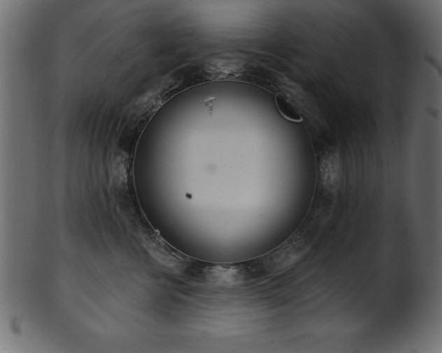 X0000102020570200807181329