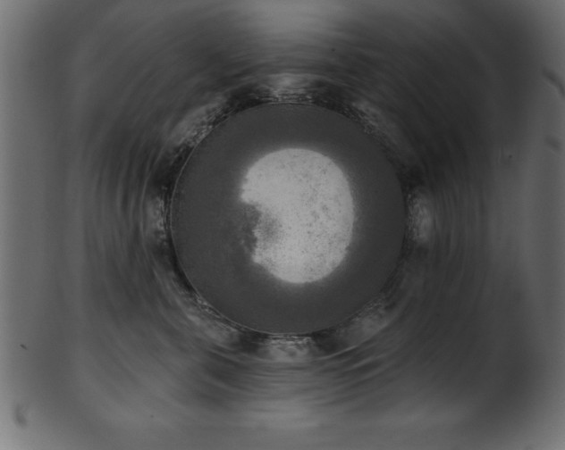 X0000102020571200807181329