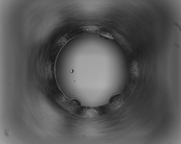 X0000102020572200807181329