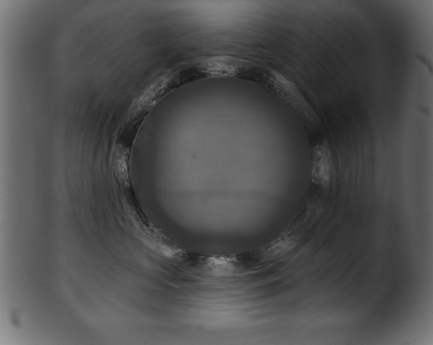 X0000102020573200807181329