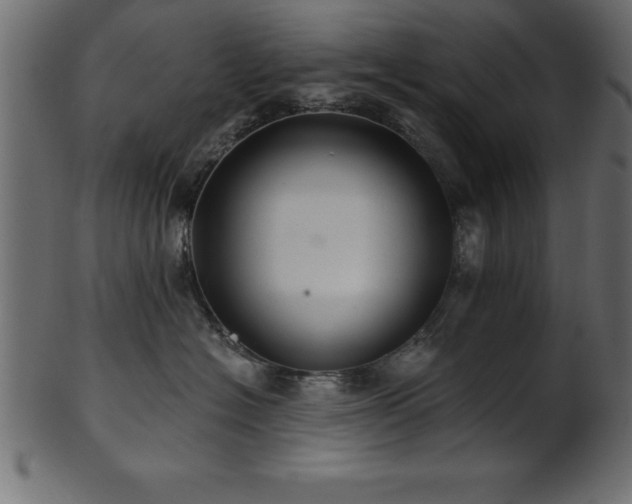 X0000102020574200807181329