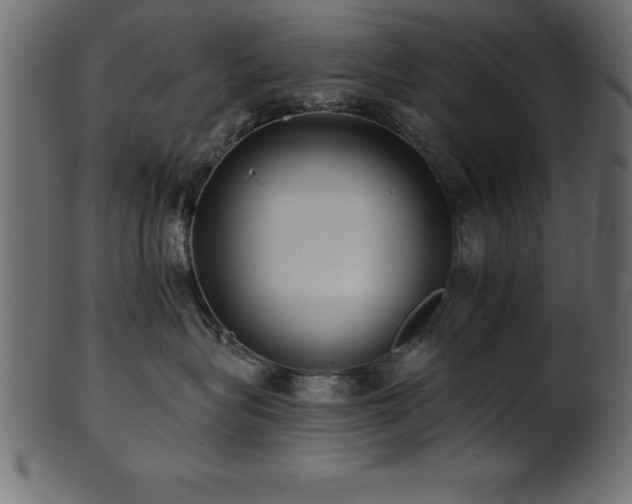 X0000102020575200807181329