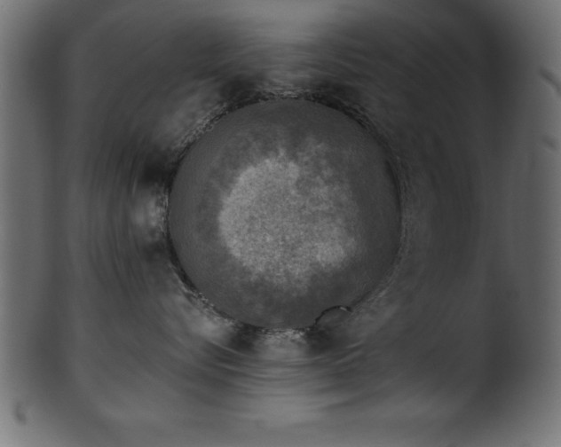 X0000102020576200807181329