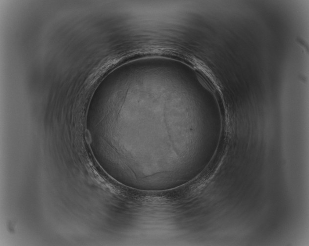 X0000102020577200807181328