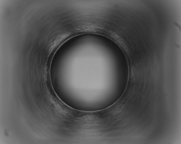 X0000102020578200807181328