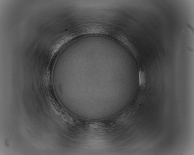 X0000102020579200807181328