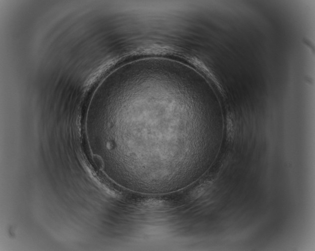 X0000102020581200807181328