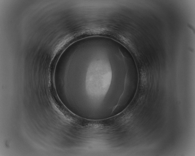 X0000102020582200807181328