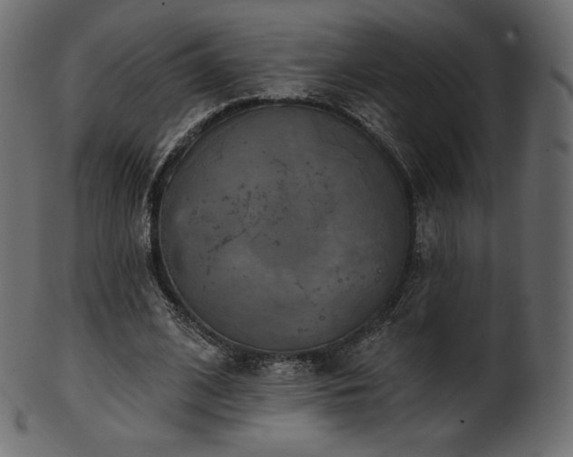 X0000102020584200807181328