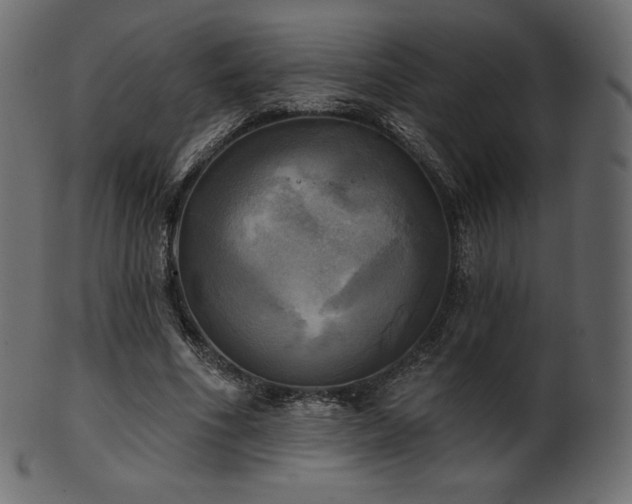 X0000102020586200807181328