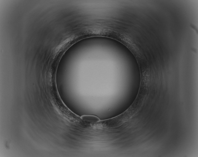 X0000102020587200807181328