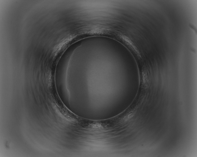 X0000102020588200807181328