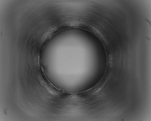 X0000102020589200807181328