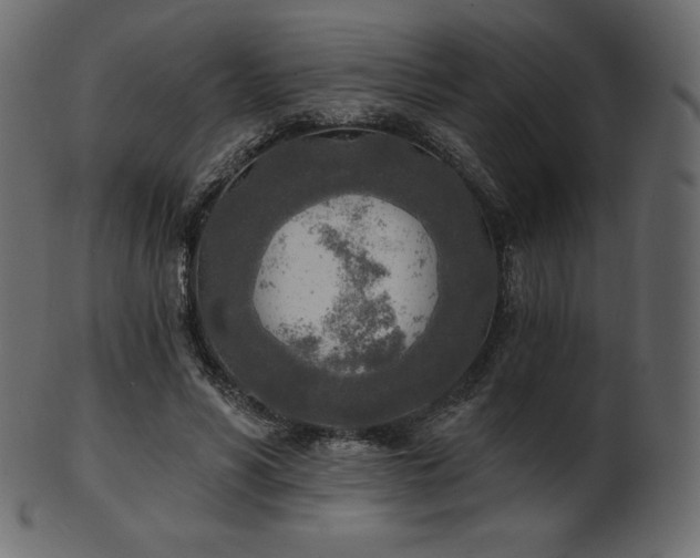 X0000102020590200807181328