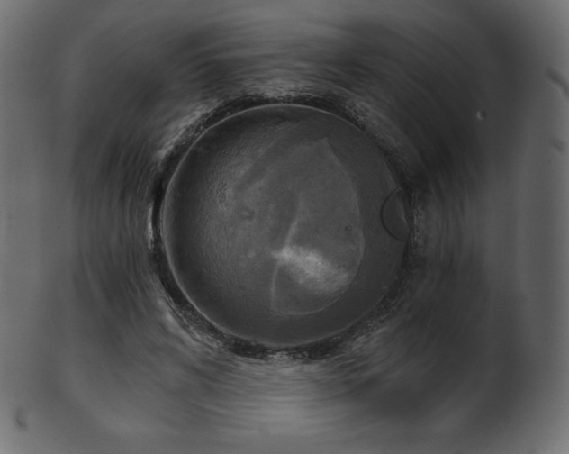 X0000102020592200807181328