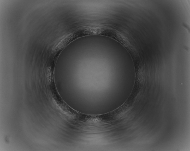 X0000102020594200807181328