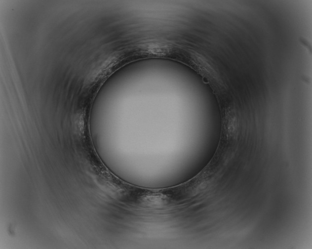 X0000102020595200807181328