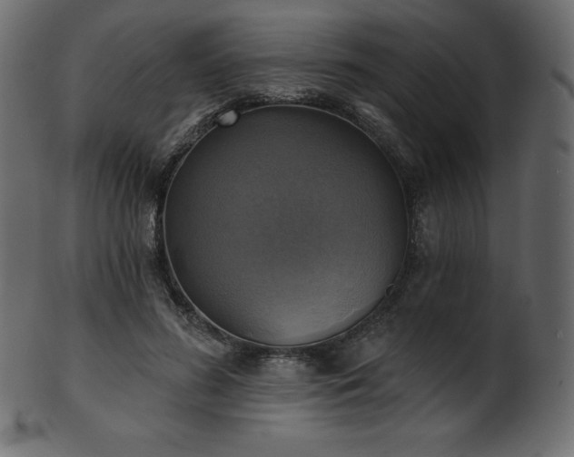 X0000102020596200807181328