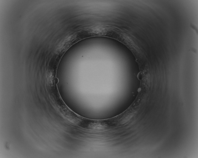 X0000102020597200807181328