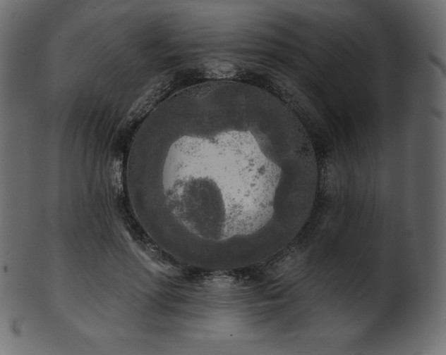 X0000102020598200807181328