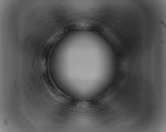 X0000102020599200807181328