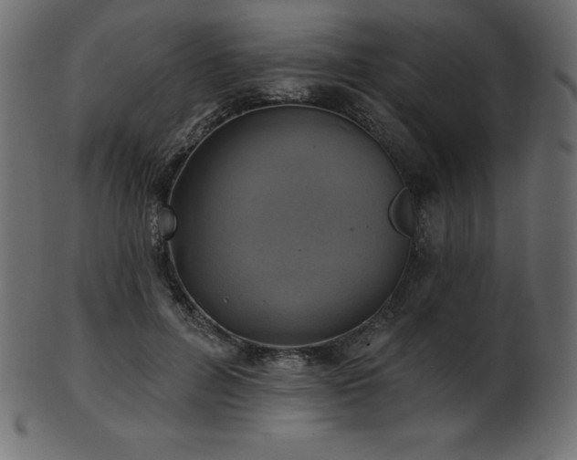 X0000102020600200807181328