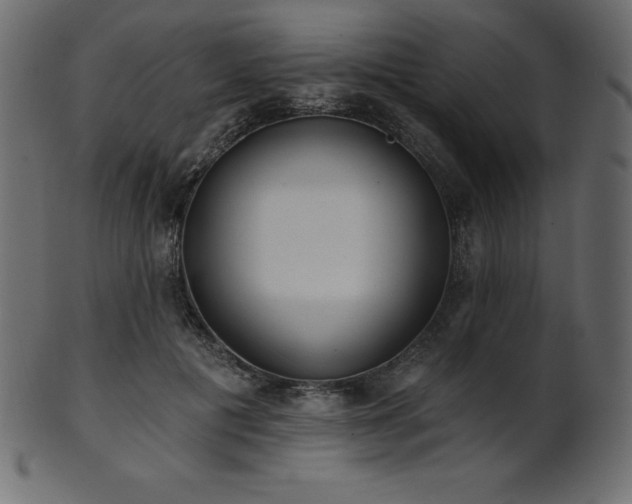 X0000102020601200807181328