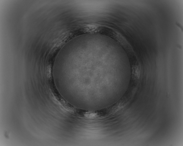 X0000102020602200807181328