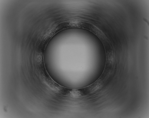 X0000102020603200807181328