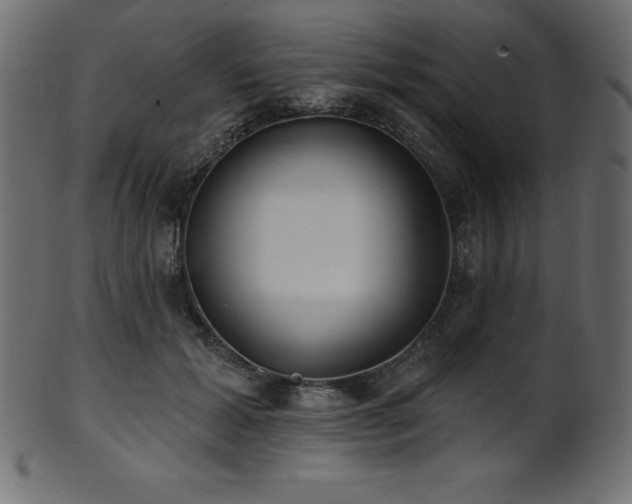 X0000102020605200807181328