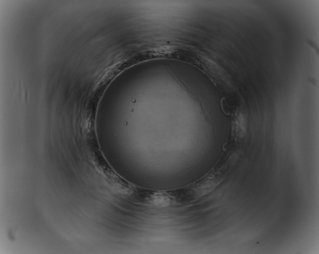 X0000102020608200807181328