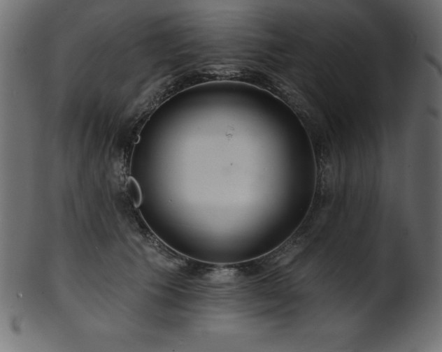 X0000102020609200807181328