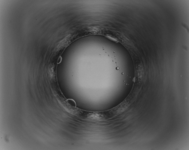 X0000102020611200807181328