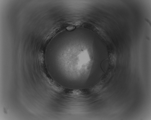 X0000102020612200807181328