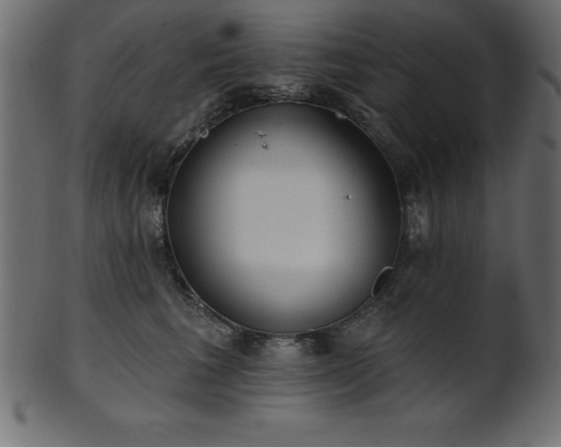 X0000102020613200807181328