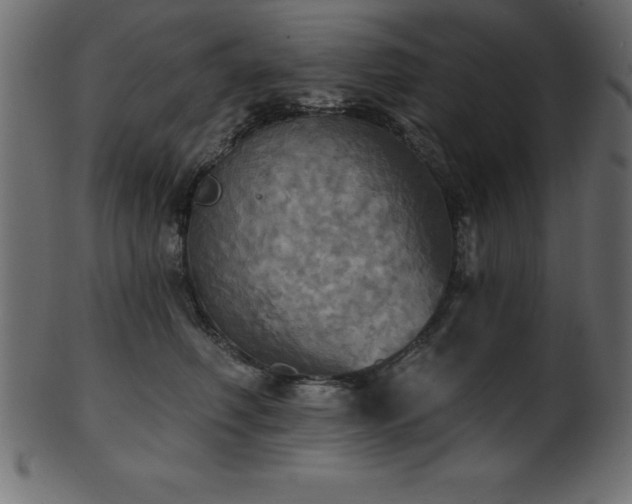 X0000102020614200807181328