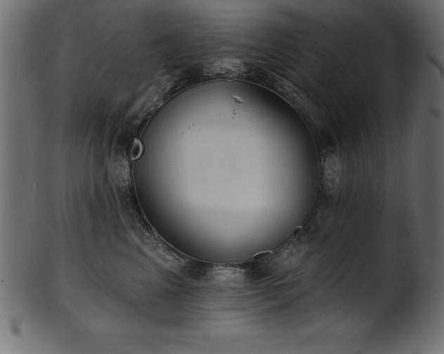 X0000102020617200807181328