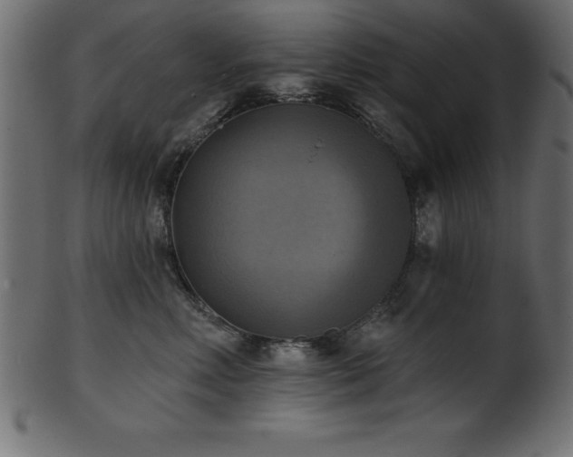 X0000102020618200807181328
